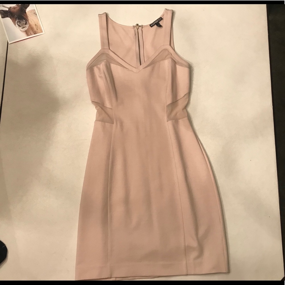 Express Nude Dress with Mesh Cutouts